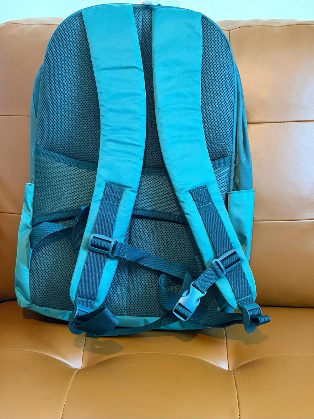 Masters stylish teal